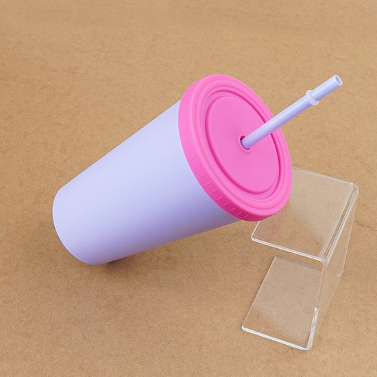 Double Layer Pastel Color Plastic Cup with Straw