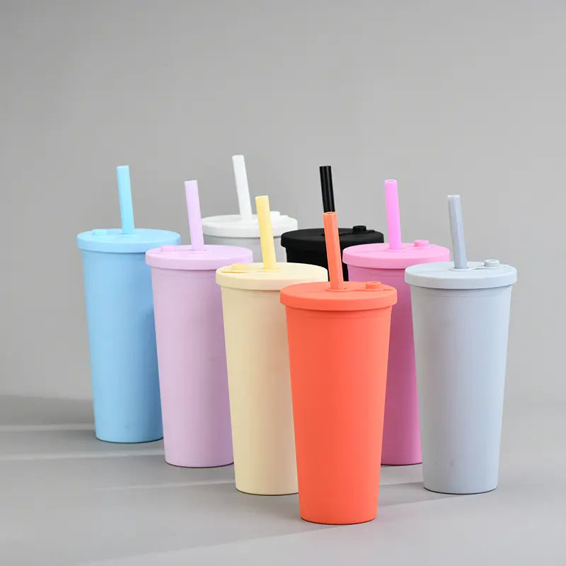 Reusable 650 ml Double Layer Insulated Boba Cup with Straw